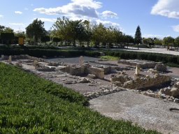 Ciudad de Elche 2022